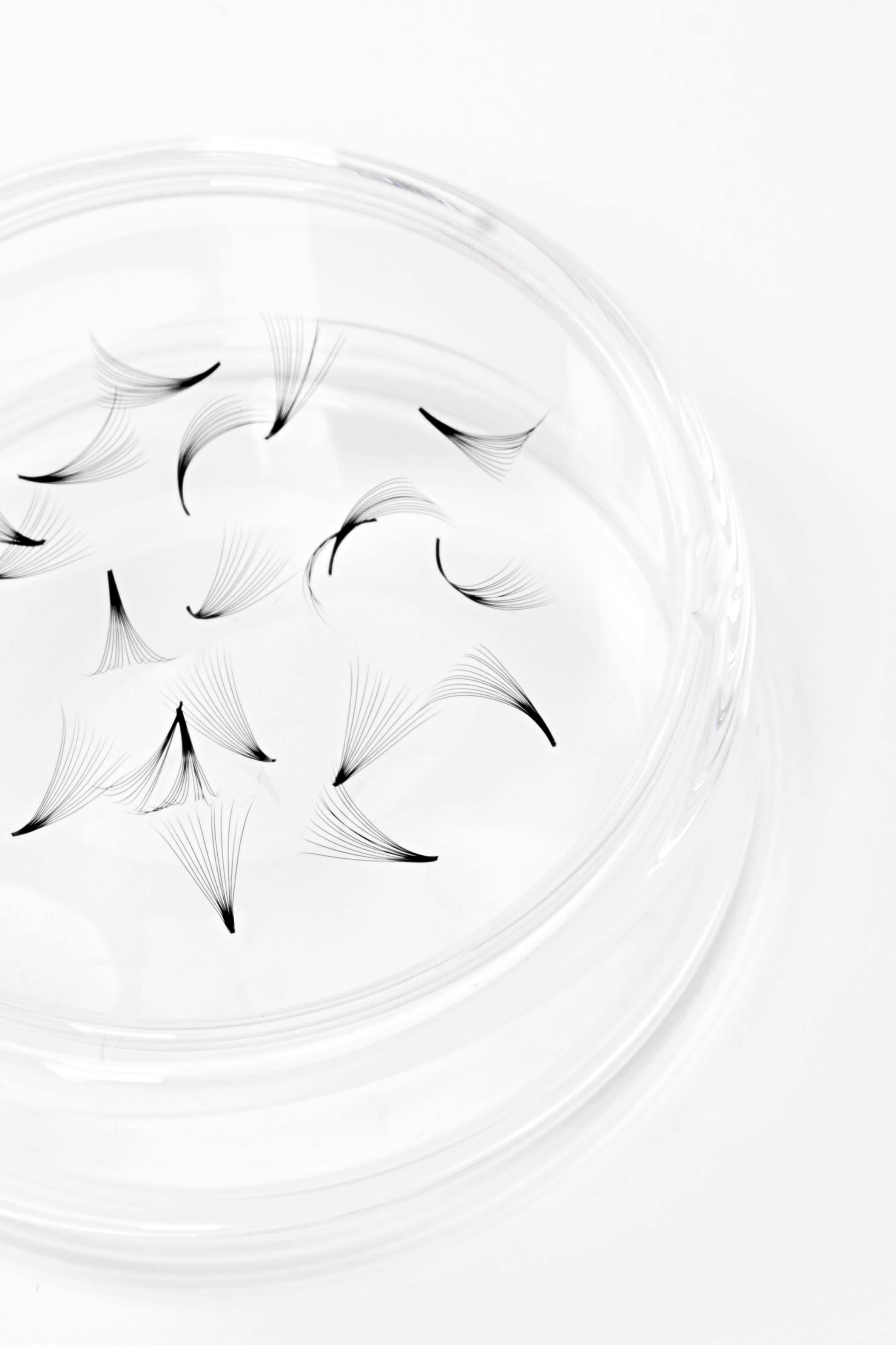 PREMADE LASHES